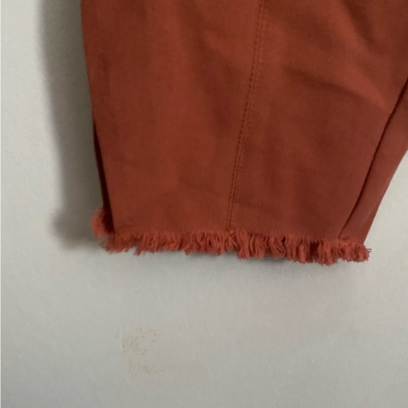 Nwt Alfani Slim Comfort Waist Core Fringe Pants Size 14 Cedar Chest - Picture 2 of 6